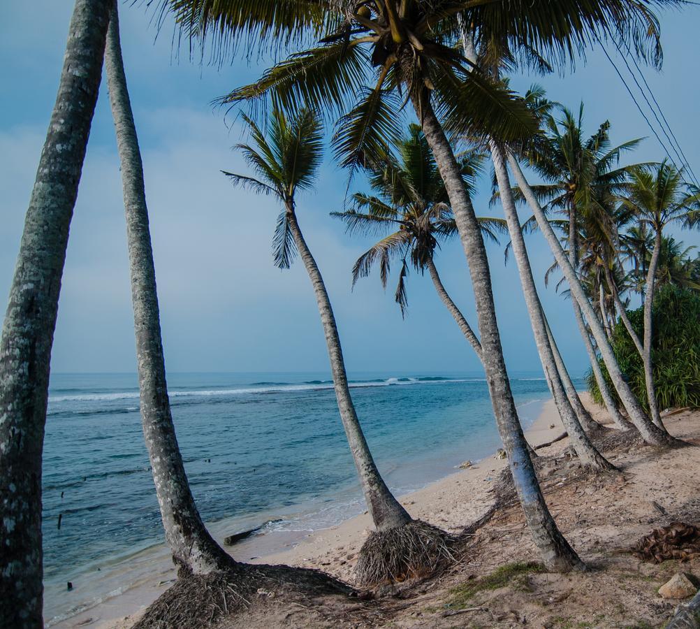 Savenrose Beach Villa Matara Eksteriør bilde